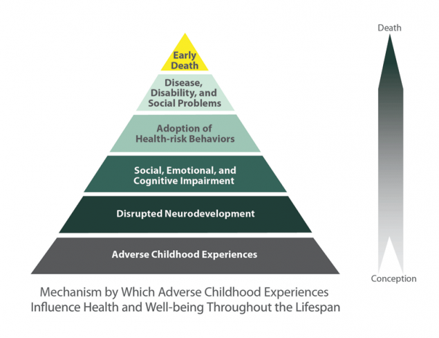 ACE pyramid diagram showing mechanism by which childhood experiences influence health and wellbeing across the lifespan. From bottom to top: adverse childhood experience, disrupted neurodevelopment, social emotional and cognitive impairment, adoption of health risk behaviours, disease disability and social problems, early death.