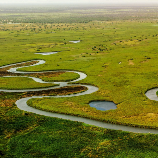 a greenfield with a twisting river